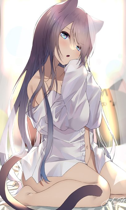 ワイシャツ猫ちゃん 