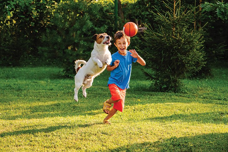 ilovedogworld's tweet photo. Cute Dog Enjoying in the Outdoor. https://t.co/0L3HeWAyWd