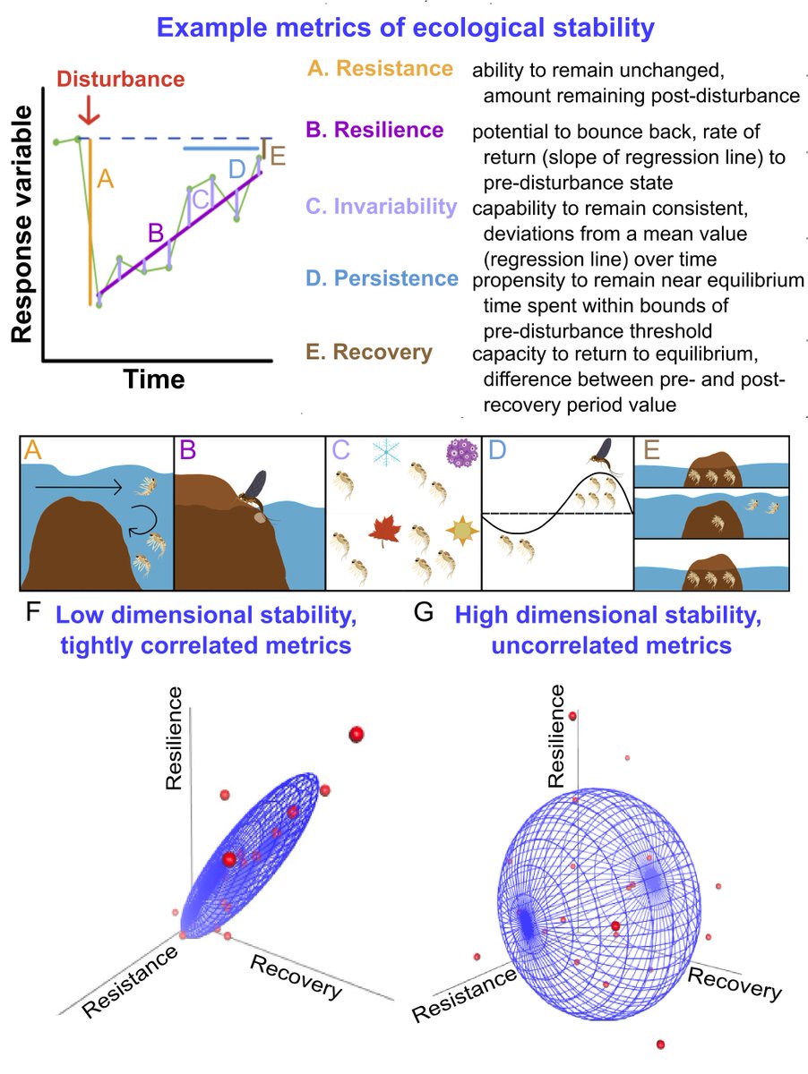 Stoked to share our new piece in L&amp;O Letters! We re-analyzed @DrNitrogen's Sycamore Creek  dataset to analyze the stability of invertebrates in response to floods/droughts, using multiple measures of stability: aslopubs.onlinelibrary.wiley.com/doi/10.1002/lo… <a href="/aslo_org/">ASLO</a> <a href="/PSUecosystems/">PSU Ecosystems</a>
⛈️☀️🌊🦟🪱🌵🏞️