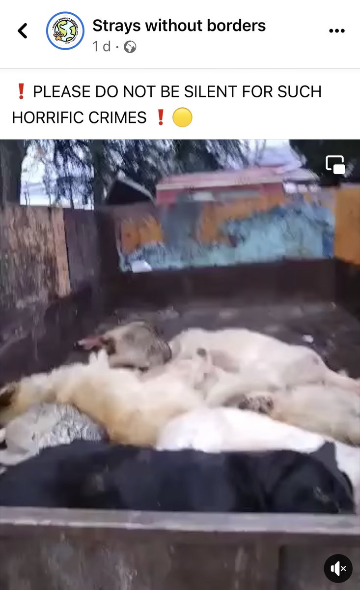 LendAPawRescue's tweet photo. Please take the time to read @swbrescue Facebook post about the street dog killings in Northern Macedonia and email your countries ambassador stationed out there to show how angry you are #AnimalCruelty #streetdogs https://t.co/REVzaRrmBt