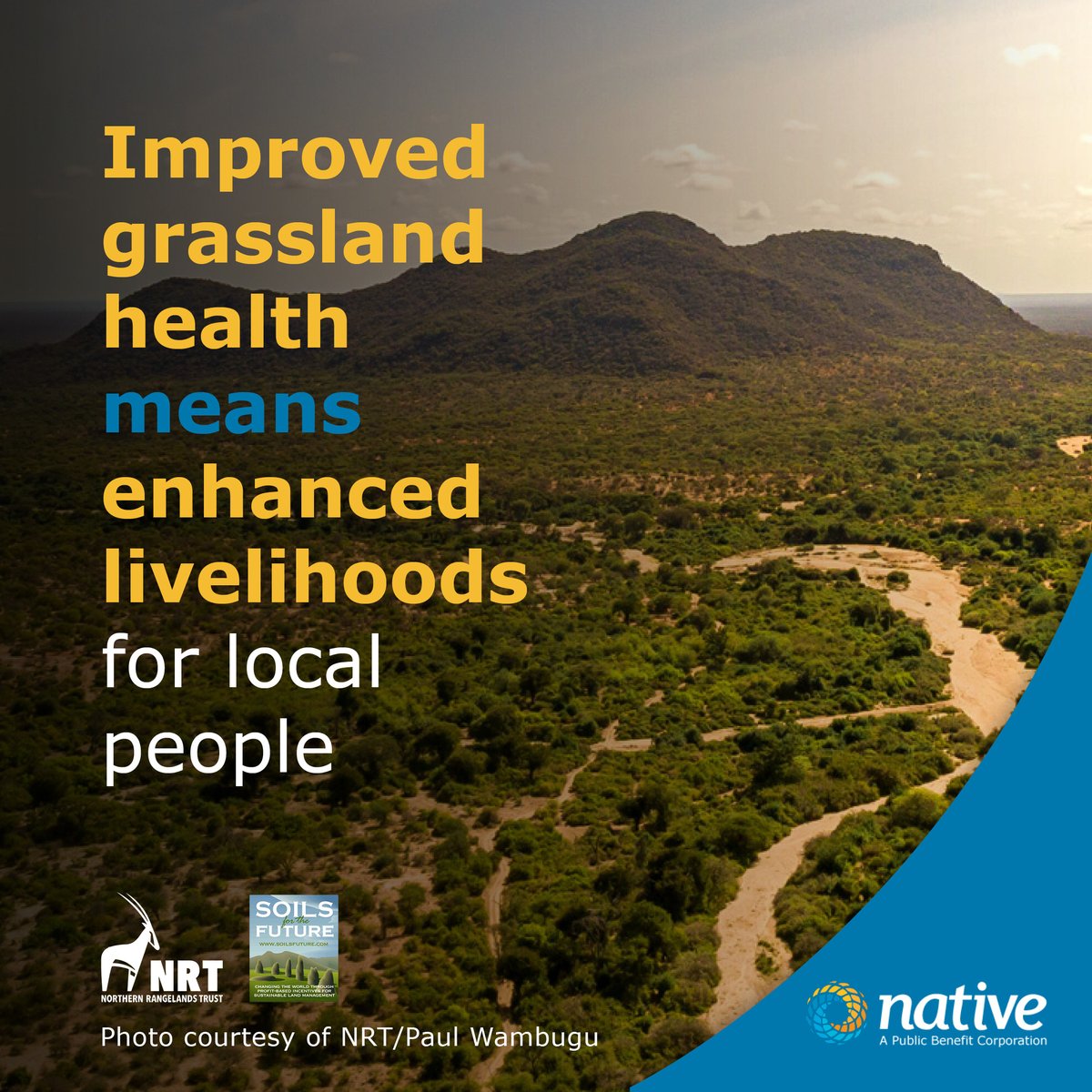 Native, a Public Benefit Corporation tweet media