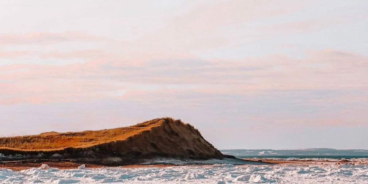 While we love the summer, winter on PEI has our heart too.

📸: @PEICameraroll

#ArtsHotel #hospitalityPEI #EastCoast #travelling #PEI #charlottetown