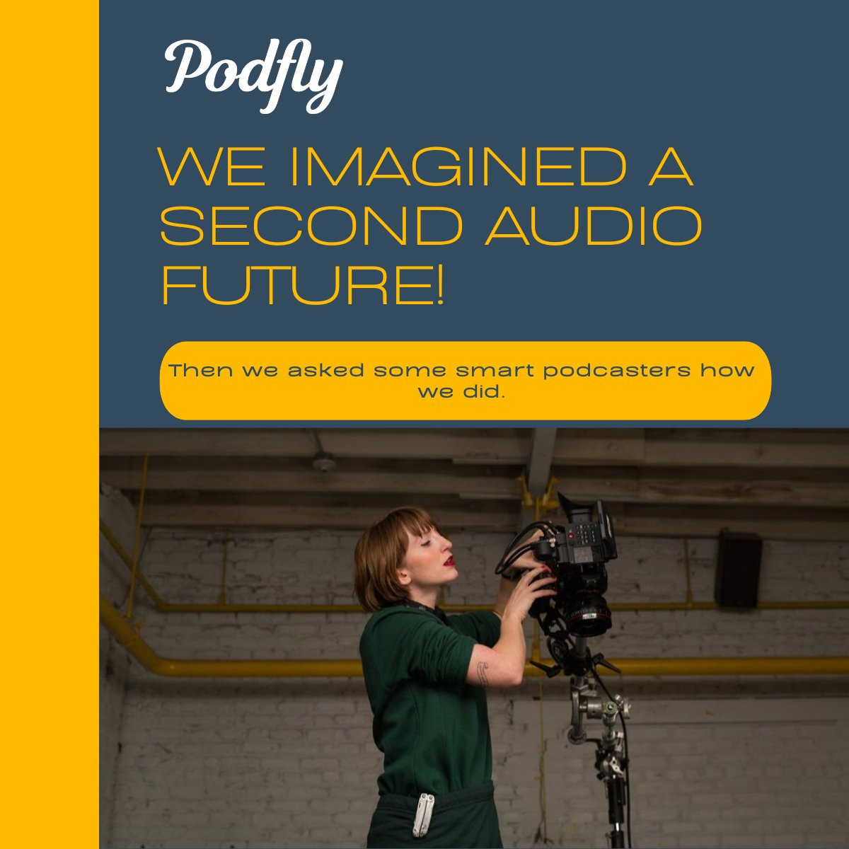 Podfly - A Different Kind of Podcast Company tweet media
