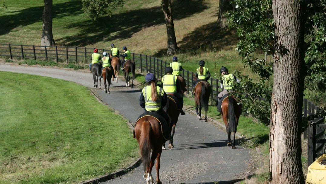 grooms_list's tweet photo. JL101983 West Midlands – WORK RIDERS required (Flat, National Hunt)
*£26,000 - £30,000 pa *Pool Money (Stable Percentage) *Regular opportunities to go racing *Live in or out
#horsejobsinthewestmidlands #workriderjobs #workridersrequired #thegroomslist https://t.co/rq2imlb0WS