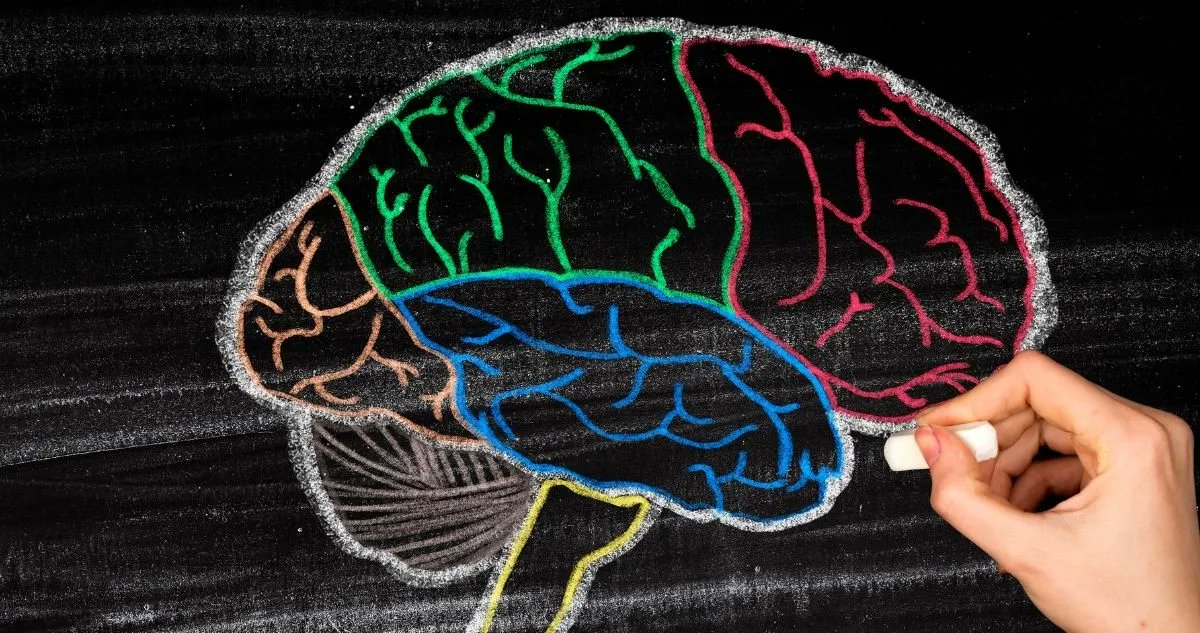 HeadwayUK's tweet photo. Even when we don’t consciously realise it, we rely on our executive functions for working, daily chores, cooking, driving and other everyday activities. In this special feature, we explore the causes, effects and tips for managing executive dysfunction: https://t.co/gFxKvypVsl https://t.co/ddhGxA1Bql