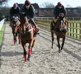 grooms_list's tweet photo. JL101983 West Midlands – WORK RIDERS required (Flat, National Hunt)
*£26,000 - £30,000 pa *Pool Money (Stable Percentage) *Regular opportunities to go racing *Live in or out
#horsejobsinthewestmidlands #workriderjobs #workridersrequired #thegroomslist https://t.co/rq2imlb0WS