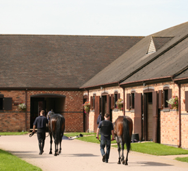 grooms_list's tweet photo. JL101983 West Midlands – WORK RIDERS required (Flat, National Hunt)
*£26,000 - £30,000 pa *Pool Money (Stable Percentage) *Regular opportunities to go racing *Live in or out
#horsejobsinthewestmidlands #workriderjobs #workridersrequired #thegroomslist https://t.co/rq2imlb0WS