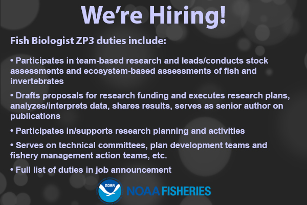 NOAAFish_NEFSC tweet media
