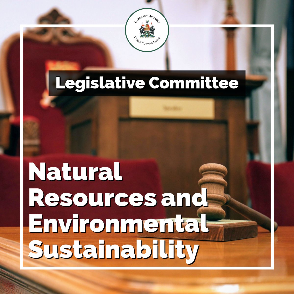 Tune in now for the Standing Committee on Natural Resources and Environmental Sustainability. Today’s topic: Briefing from Maritime Electric. Watch at: assembly.pe.ca, the Legislative Assembly Facebook page and on YouTube at PEI Legislative Assembly.