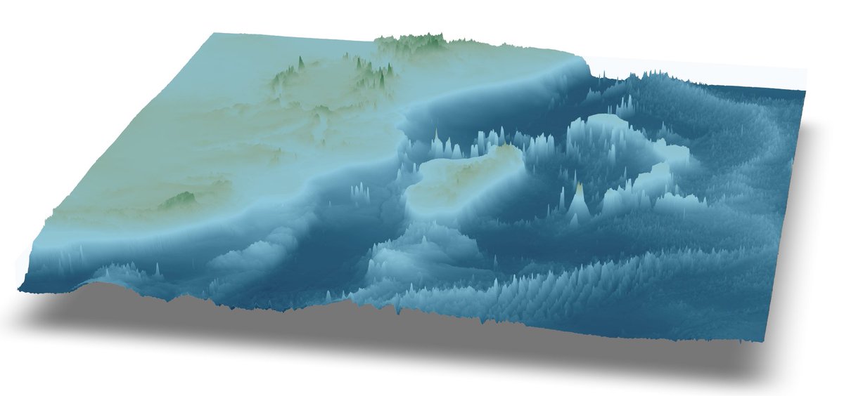 EdSacre's tweet image. The Western Indian Ocean in all its glory. More fun with #rayshader in #rstats. To the south-east of Madagascar you see the Southwest Indian Ridge. To the north-east you see the Mascarene Plateau, which emerges in a few spots, such as Seychelles, Mauritius and Reunion.