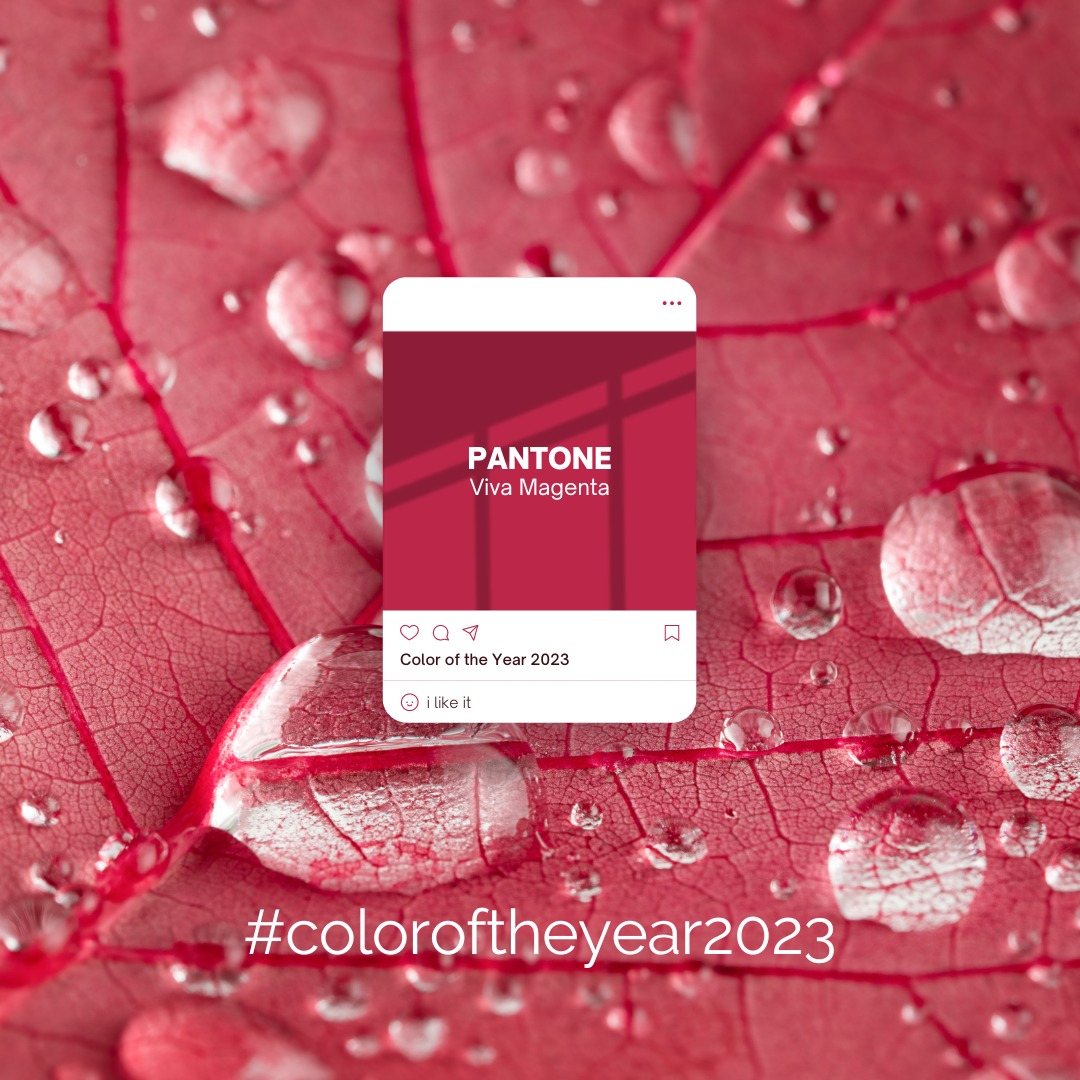 insomoda's tweet photo. En esta era de la tecnología, pantone busca inspirarnos en la naturaleza y lo que es real. PANTONE 18-1750 Viva Magenta desciende de la familia de los rojos.
.
#pantone #insomoda #diseñodemoda #moda #fashion #color #coloroftheyear2023 https://t.co/m3NWYIieuh