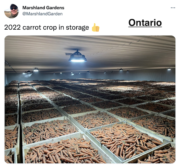 FarmTank's tweet photo. FarmTank Tweet of the Day!
Congrats to @MarshlandGarden @KZarate1081 @ParkerLazenby3 and @TheWittyFarmer for being featured in @KevinVanTrump report!
#FarmTank #VTR #Corn #Agriculture #Soybean #AgTwitter #wheat #harvest22 #harvest2022 https://t.co/B3Qkly48Gy