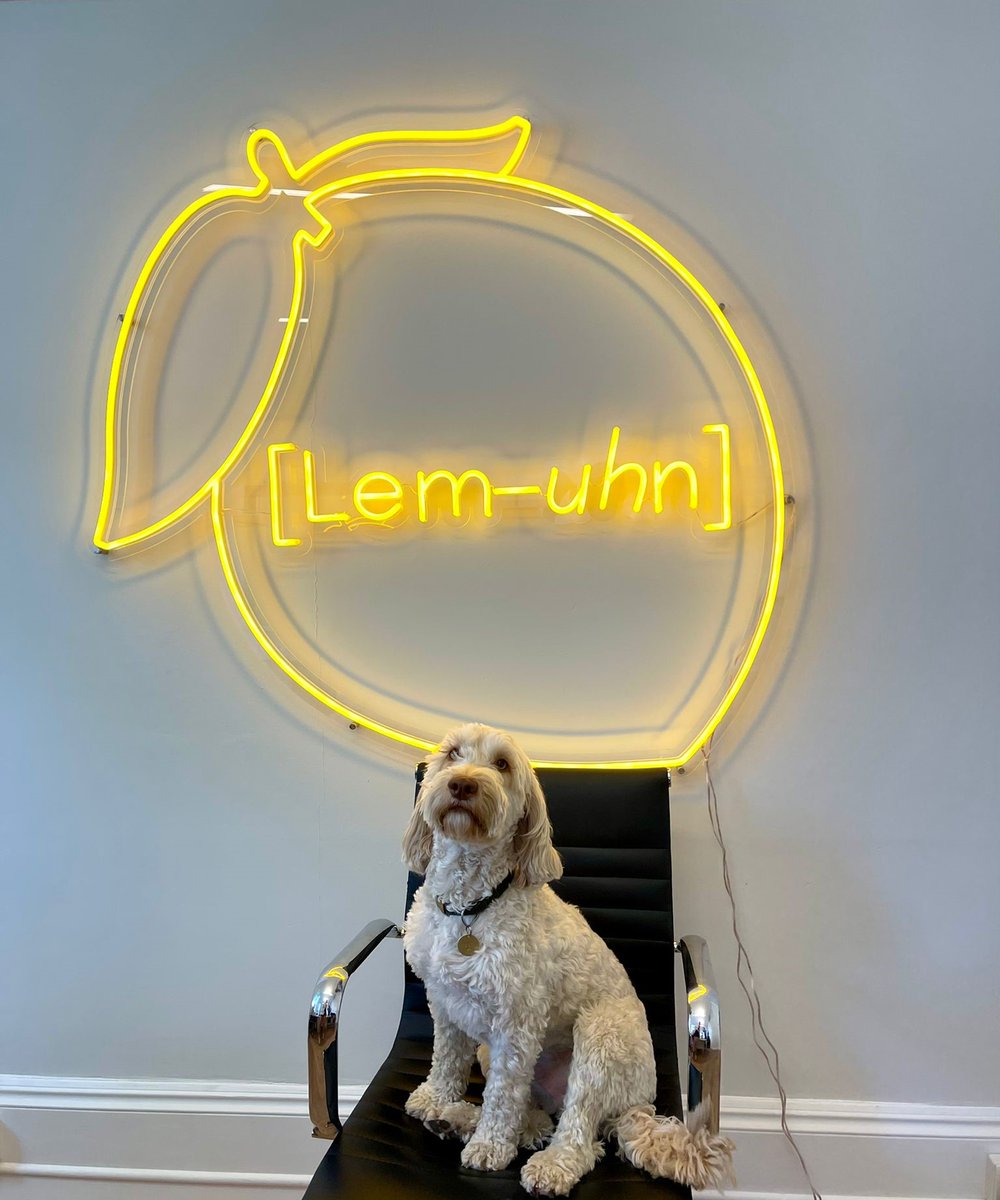 Every company needs a Head of Paws-itivity! Seb is responsible for making sure people take time away from their desks and destress.

Want Seb as a colleague? You’re in luck, we’re #hiring! Check out the open job on our website. #OfficeDogs #DogsOfTwitter