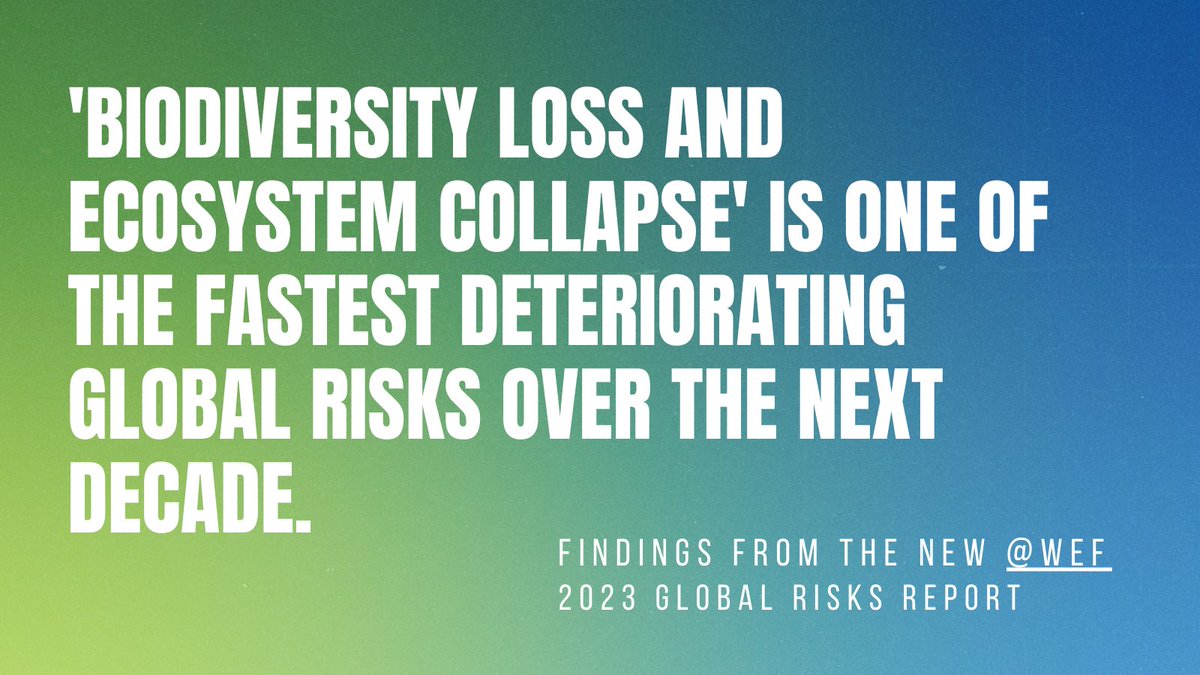 Enduring_Earth's tweet photo. NEW: 2023 Global Risks Report suggests averting tipping points requires a combination of conservation efforts, accelerated and nature-positive climate mitigation, interventions to transform food systems, and inclusive, just and equitable change to consumption and production #WEF https://t.co/yqtRX0xiJQ