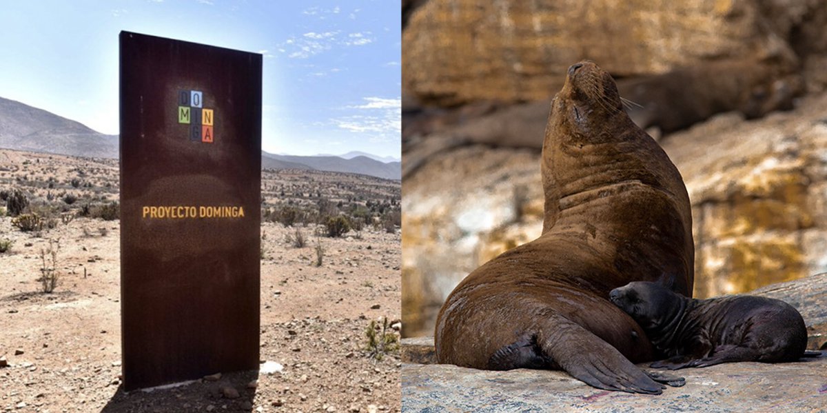 Como dijo <a href="/shakira/">Shakira</a>: Una loba como yo no está pa tipos como tú❌🎤  #NoADominga