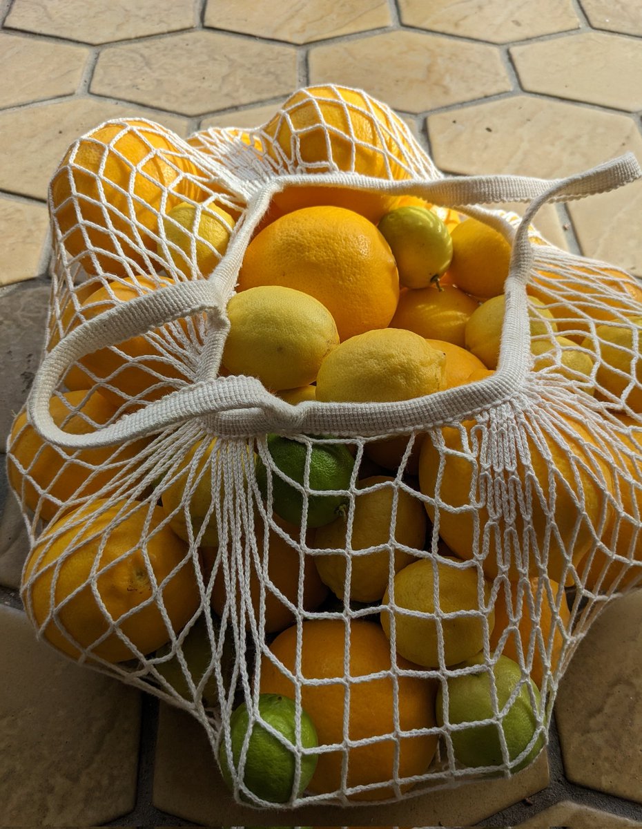 Bruce Shark tweet media