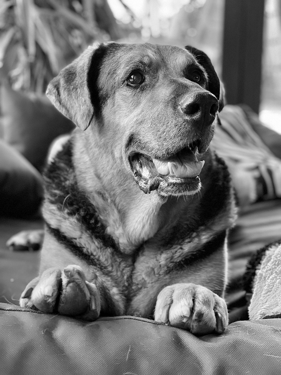 Andrzej z EU 🇪🇺🇵🇱🇺🇦🇮🇱 tweet media