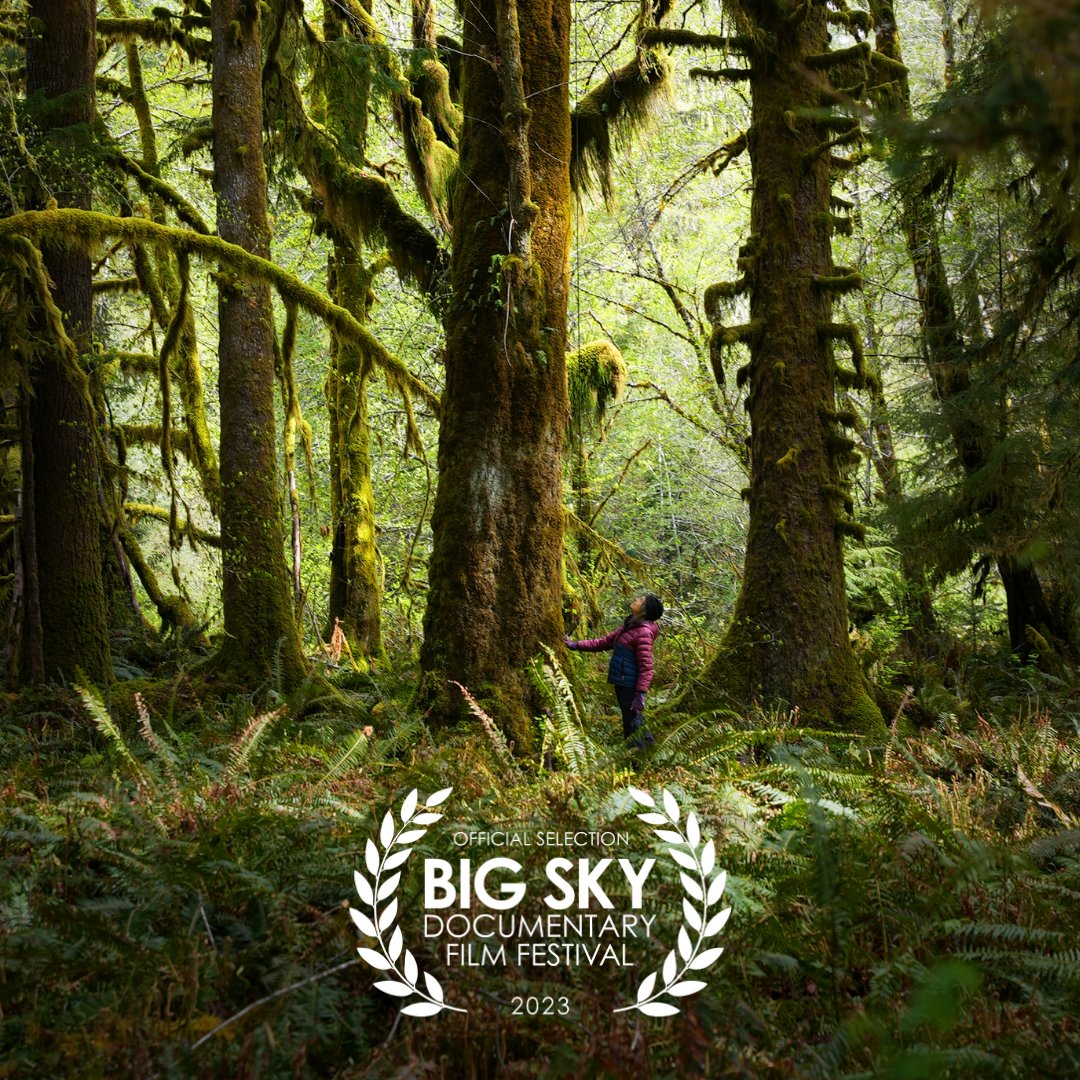 IF/Then Shorts tweet media