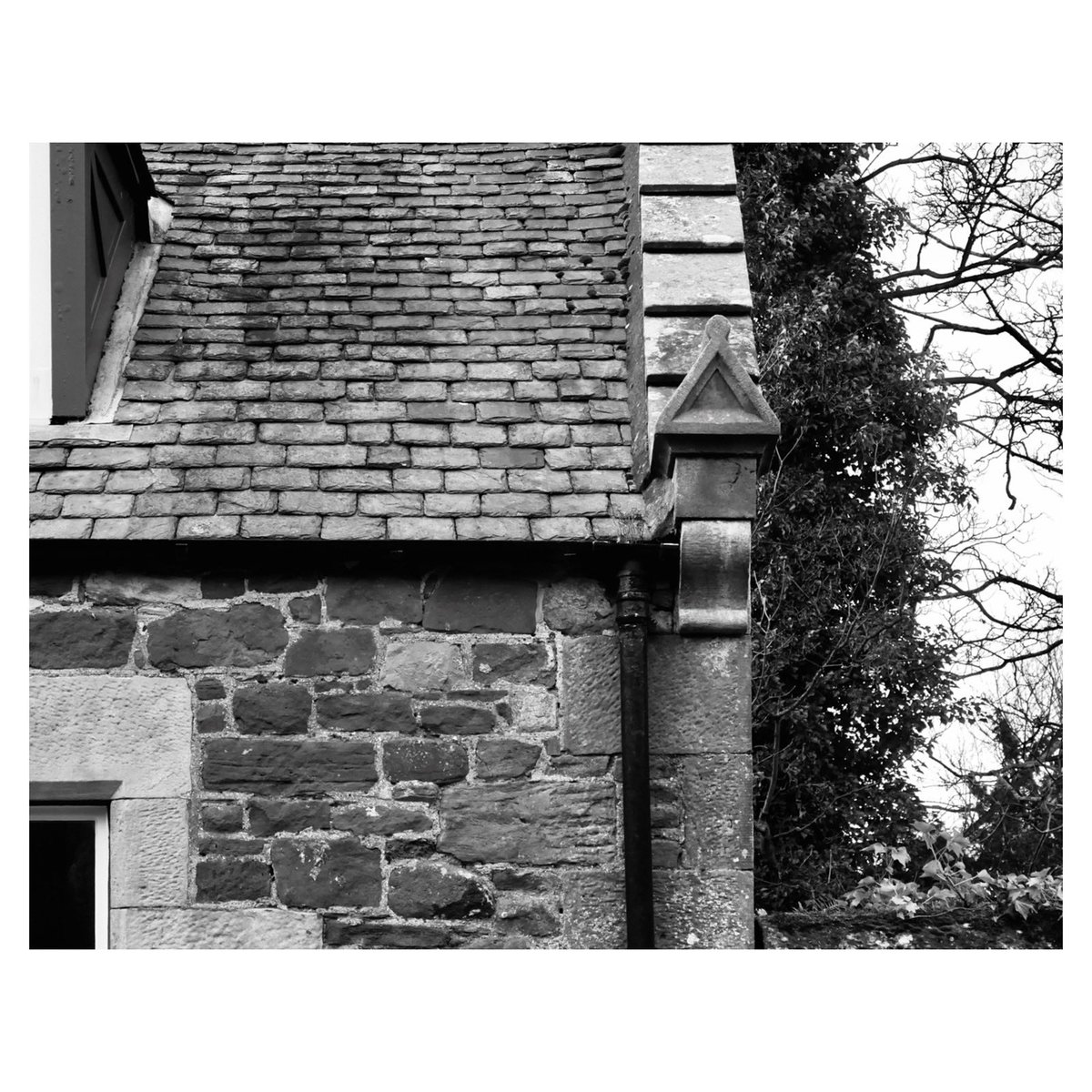 calumdarchitect's tweet image. Swifts are on the red list and partly because we are pointing up all the wee gaps and crevices that they like to nest in at high level. Sign to support debate to make it law for all new houses to include a Swift box petition.parliament.uk/petitions/6267… @WriterHannahBT