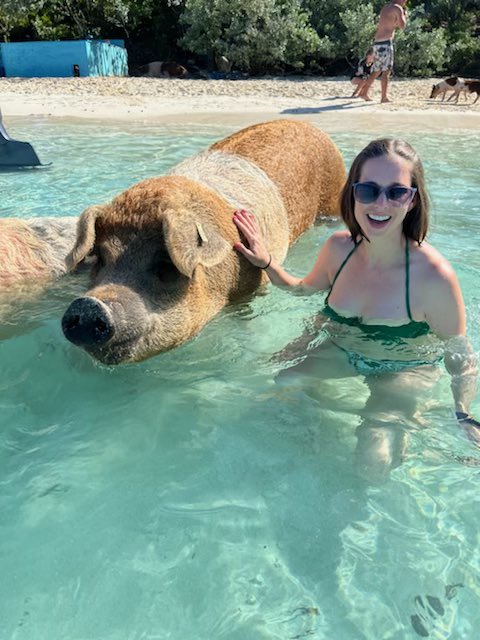 adventurelemon7's tweet photo. @yTravelBlog Love seeing your story!🐖
We did this last November and it was so fun! Dave wrote two stories about our Bahamas experience. Natajia & everyone with @EMBRACEResort was amazing. https://t.co/PggGdjMG3x
https://t.co/ph43g4Lbzy
#bahamas #stanielcay #swimmingpigs #adventurelemon🍋 https://t.co/YMZdJAbrCw