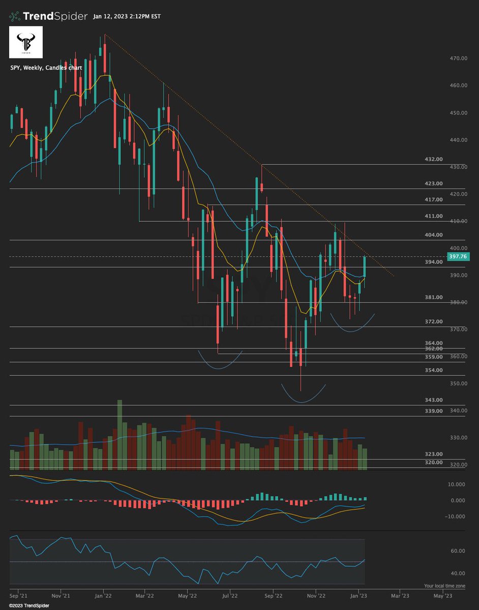 Trading Buddyz tweet media