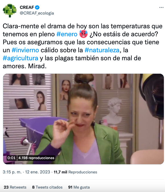 Dircom Catalunya tweet media