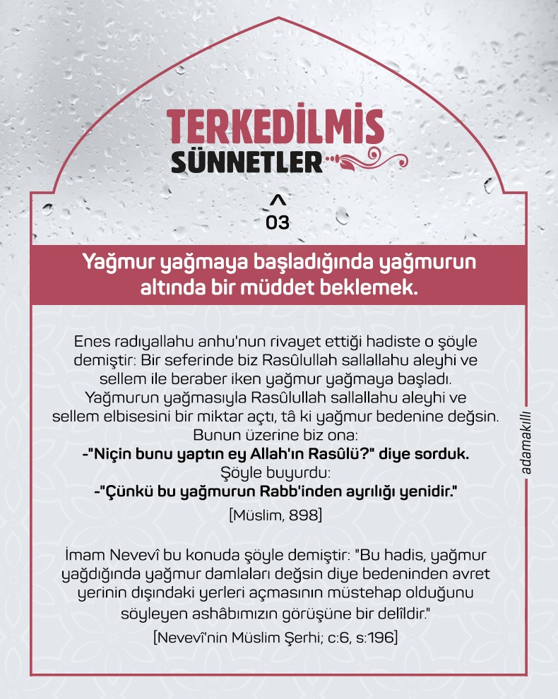 Terkedilmiş sünnetler (3)

Yağmur yağmaya başladığında yağmurun altında bir müddet beklemek...