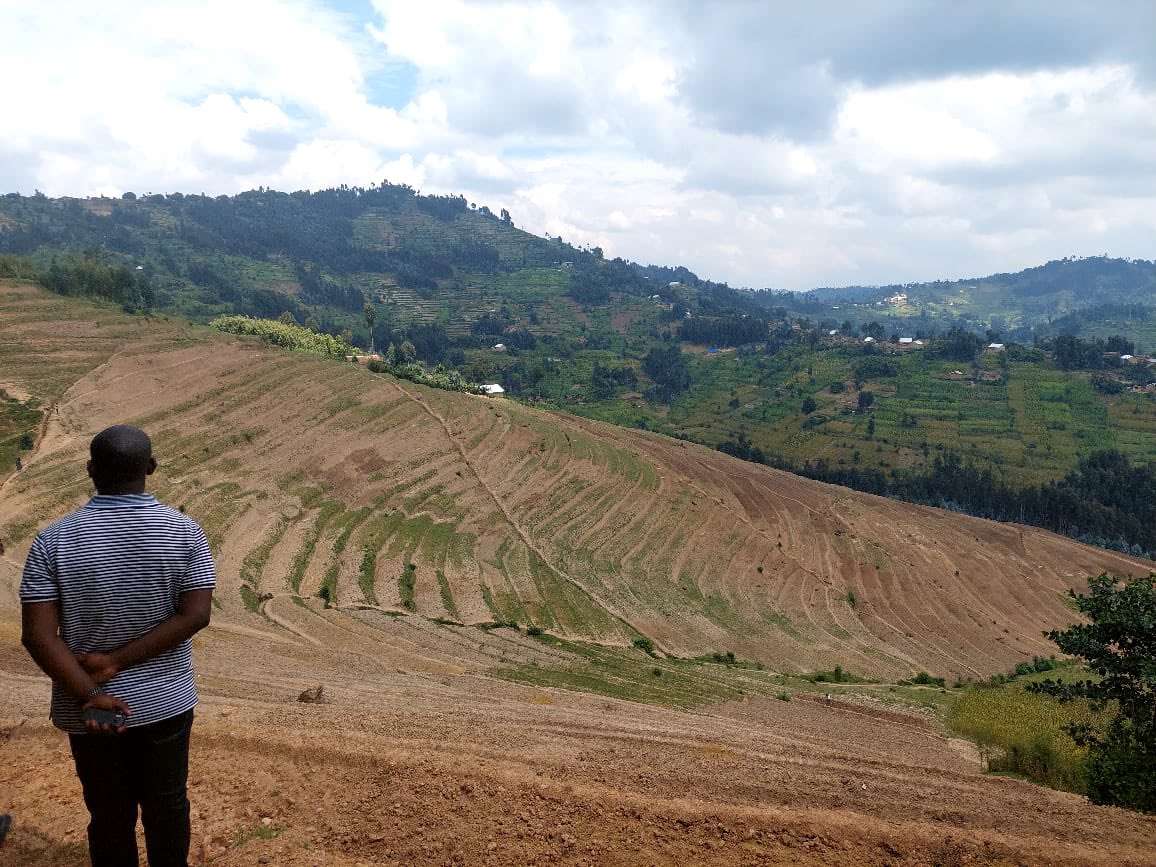 HabitegekoFran1's tweet image. Mu karere ka @NyabihuDistrict imihigo irakomeje.Aya ni amaterasi yakozwe n’abaturage bahawe akazi muri #VUP mu murenge wa Rambura.Muri season B aratangira kubyazwa umusaruro. @RwandaWest @RwandaWater @RwandaAgriBoard @RwandaAgri @RwandaLocalGov @rbarwanda @IGIHE @Imvaho_Nshya