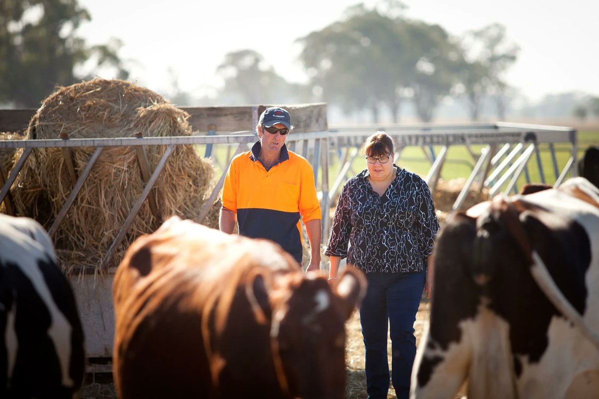 It really came out of nowhere. City raised Sarah Parker & husband had spent a decade in corporate careers. “Then, he comes home one day and says he wants to go farming!” 🎧 or 📖 farmers.org.au/telling-our-st… #australianfarmers #ausdairy #dairy #podcast #womeinagriculture #womeninag