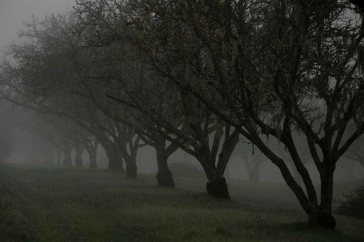 “Я должен притворяться, что есть и другие, но это ложь, есть только ты”
(с) Борхес