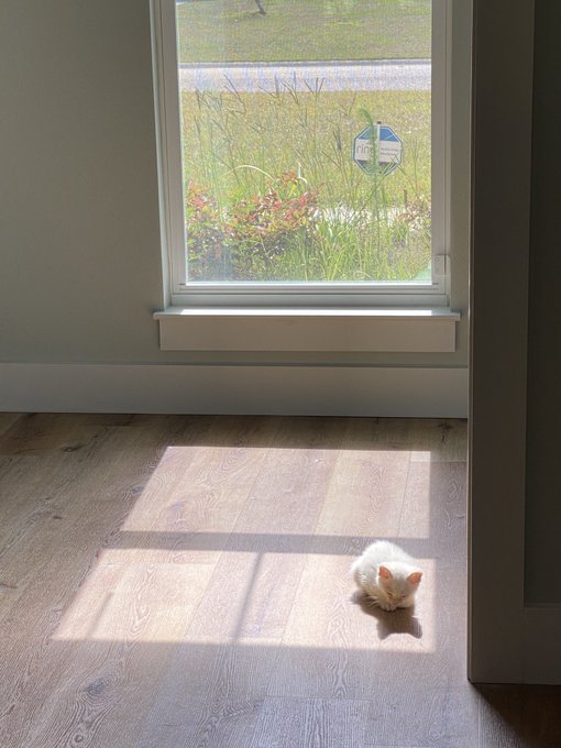 He doesn&rsquo;t know I would burn the entire world to the ground for him https://t.co/yZjCFqTudR<a href="/tag/hxh"class="tags"><span>#hxh</span></a><a href="/tag/chrollo"class="tags"><span>#chrollo</span></a>