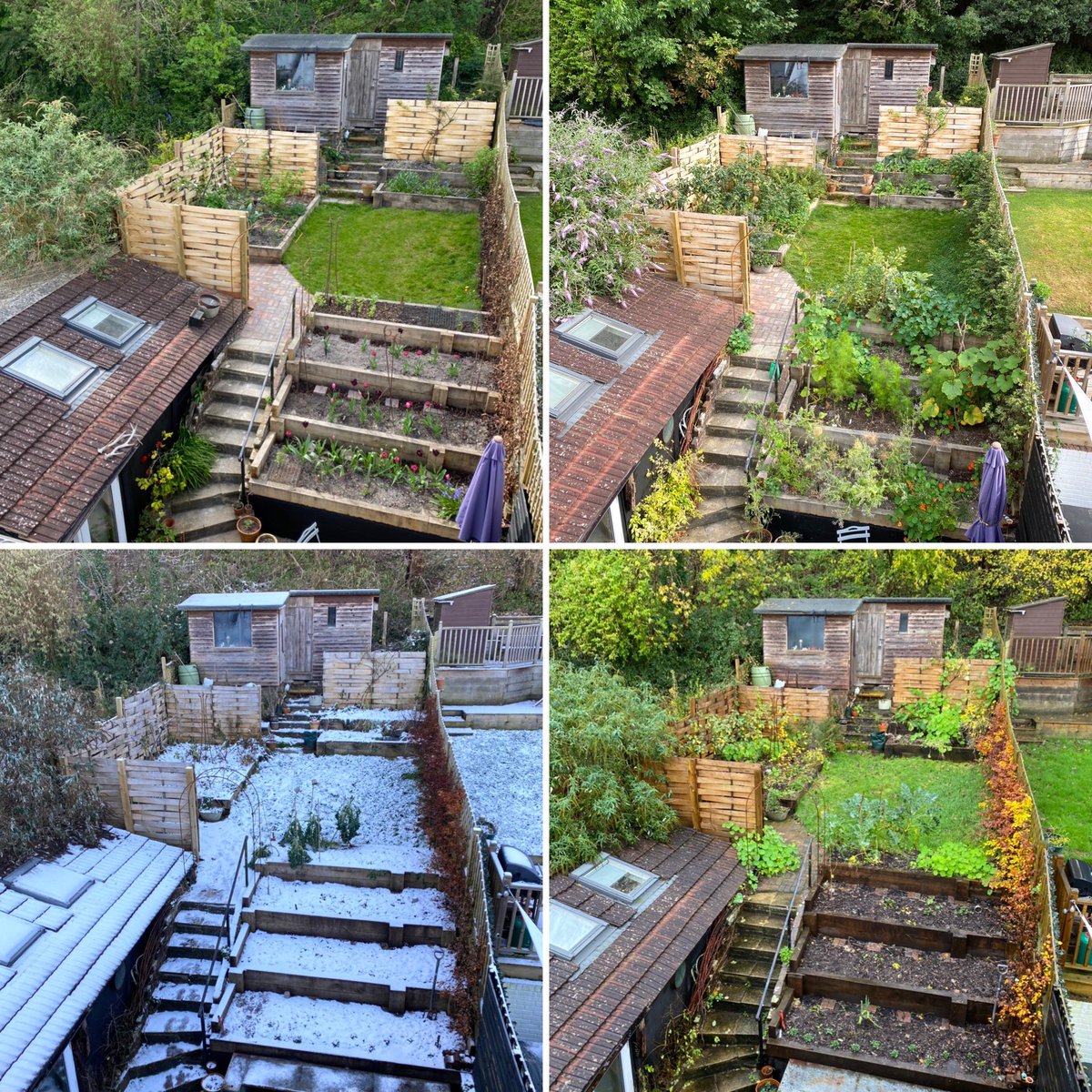 FloSnook's tweet image. Four seasons in my back garden.  I designed it using #Permaculture to grow edible plants and forage for pollinators. #GardeningTwitter #GardenersWorld #gardensoftwitter #gardening