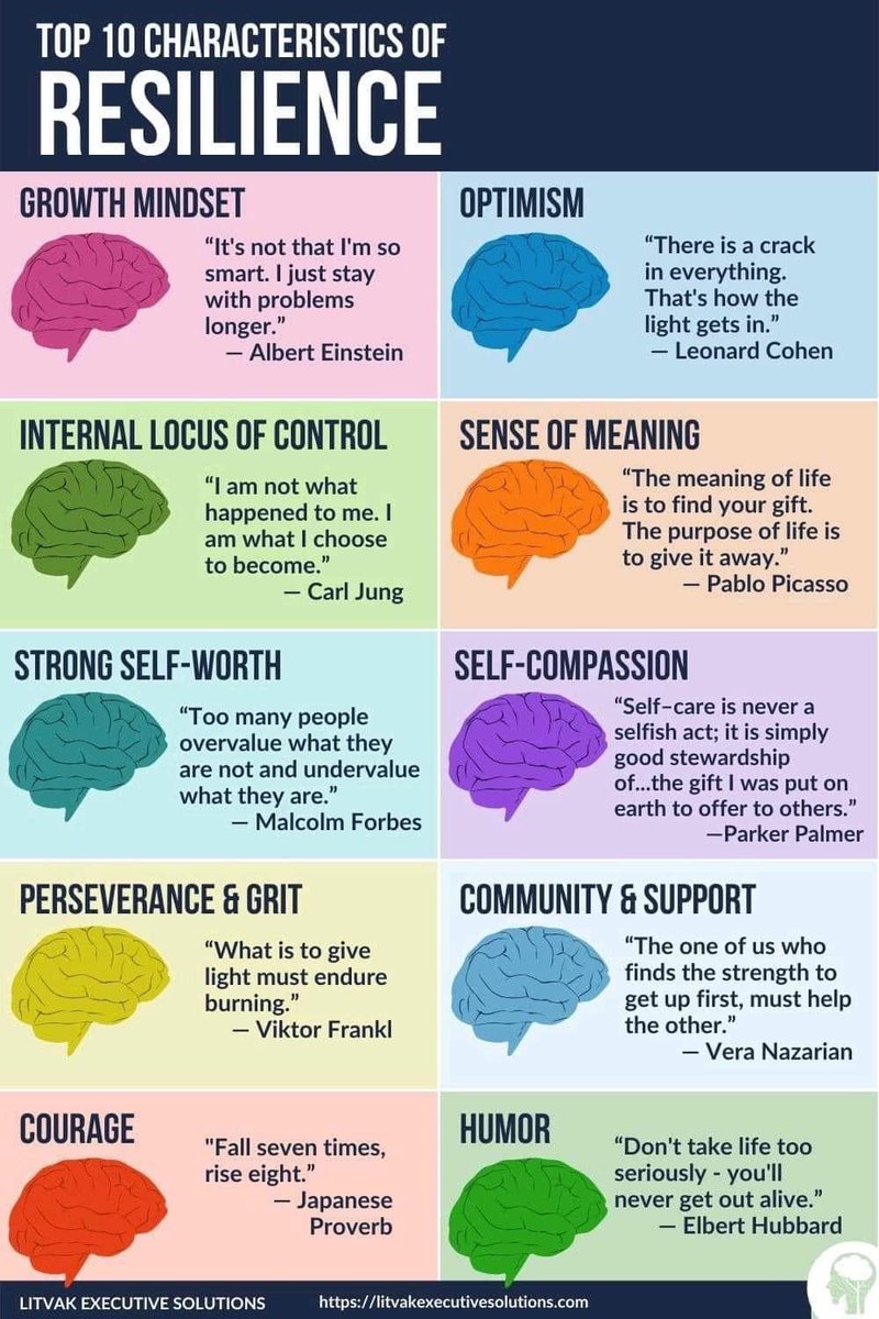 StanziN_'s tweet photo. Top 10 characteristics of Resilience for this new year 2023✨ https://t.co/sgjovJtIBD