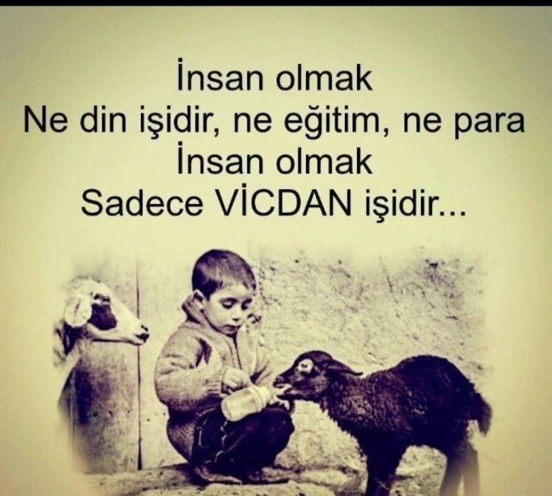 Vural (@vural07089829) on Twitter photo 