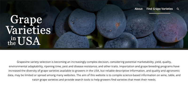 Check out the new website for Grape Varieties in the USA! Visit it at grapevarieties.info

#academicwebpages, #GrapeGrowing, #winegrapes, #grapevine, #vineyard, #graperesearch, @grapetweets