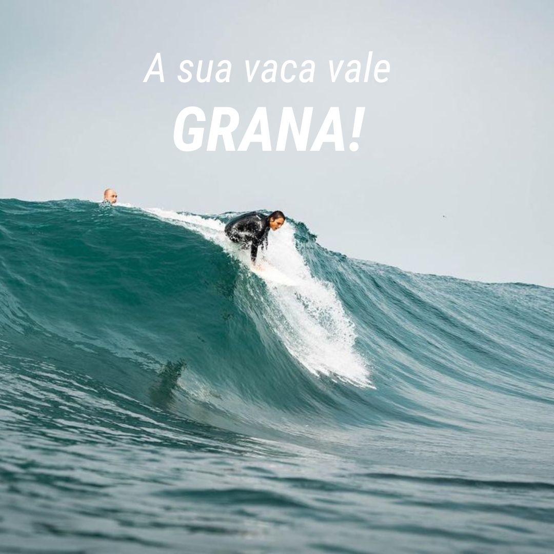 SurfguruPro's tweet photo. Now you can earn some money with that ridicolous wipeout thar you had!

#GnarsWave It´s On and you can earn up to R$600 with your wave  ;)

@GnarsDAO
 
#surfguru #surfgurupro #gnarlywave #web3 #AltasOndas #SurfguruAvisou #gnarsdao #nounsdao #dao #lilsisters #lilnouns #nounsbr https://t.co/um1lZ6Tehg