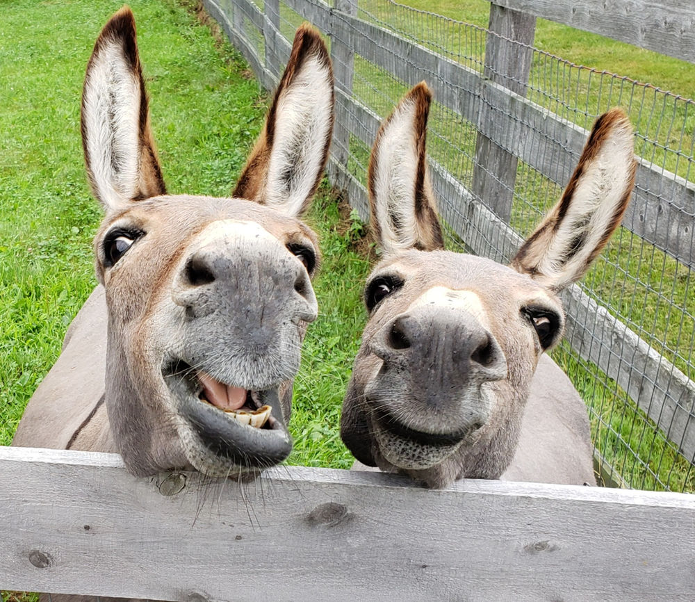 My weirdest #onedegreeofseparation is <a href="/joerogan/">Joe Rogan</a> ... Someone from the Donkey Juice episode of #FearFactor was on a client team. I found out just before a  presentation. #BigGulp