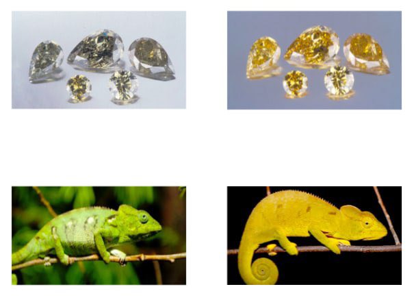 karpov16's tweet image. 💎 #ALROSA est la société de diamants Russe, la seule au monde qui non seulement extrait des diamants, mais en fait également des bijoux en diamants.
En 2018, GIA a certifié pour la première fois un diamant caméléon extrait et taillé par ALROSA. #LoveRussia #StopRussophobia