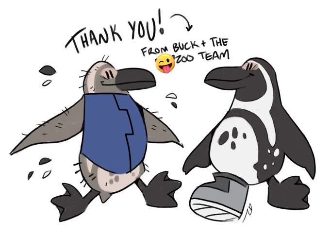 the aquarium a state over was kind enough to host us for a behind-the-scenes tour yesterday, so I drew a couple of their more eclectic african penguins as thanks! 