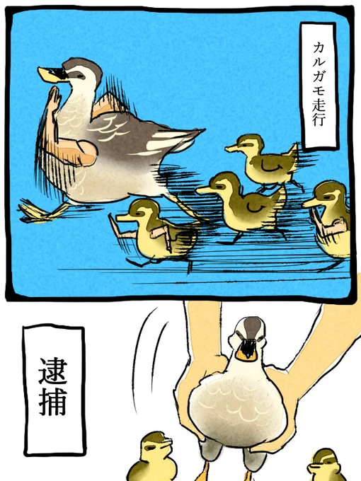 なんかこっちのツイートもバズってびっくりしているから、とりあえずこれ見て。 