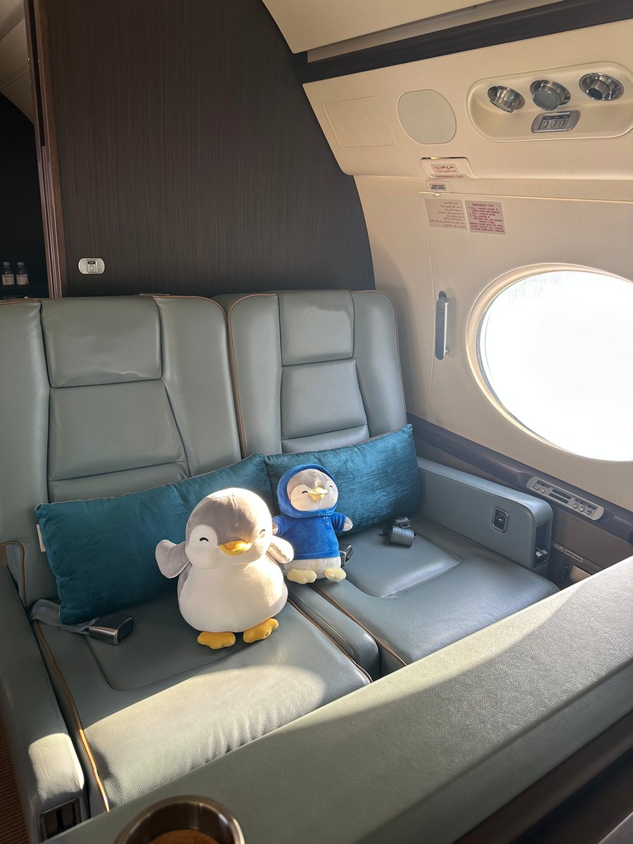 ACS_AIRCHARTER's tweet photo. When a family asked us to help arrange their first-ever charter, Majd from ACS Dubai guided them through the process and arranged the charter of this Gulfstream G450 to fly them home to Africa! - https://t.co/jSNKGOm7hK #aircharter #privatecharter #travel #privatejetlife #ACSDXB https://t.co/uNpiYaGA2k