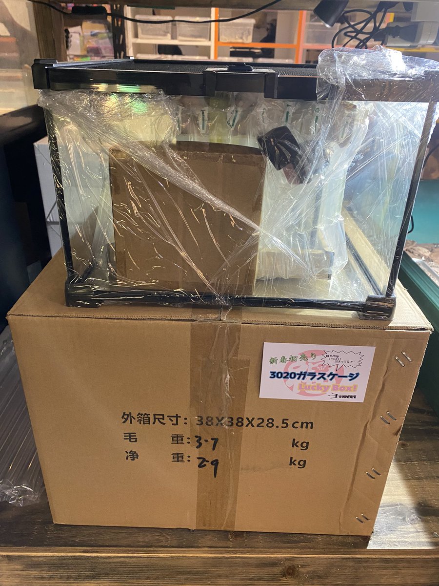 GungnirAnimals's tweet photo. 🧧新春プレゼント企画🧧

遅めのお年玉として当店から日頃の感謝を込めた🎁

ベルテックジャパン様特製LUCKY BOX3種から各1つづつ、計3名の方にプレゼント致します❗️超豪華❗️

※当選品詳細はリプに記載します🙇‍♂️

◆応募方法はフォロー＆RT
◆〆切は1月20日一杯まで

沢山のご応募お待ちしております♪ https://t.co/iSQivqxeVp