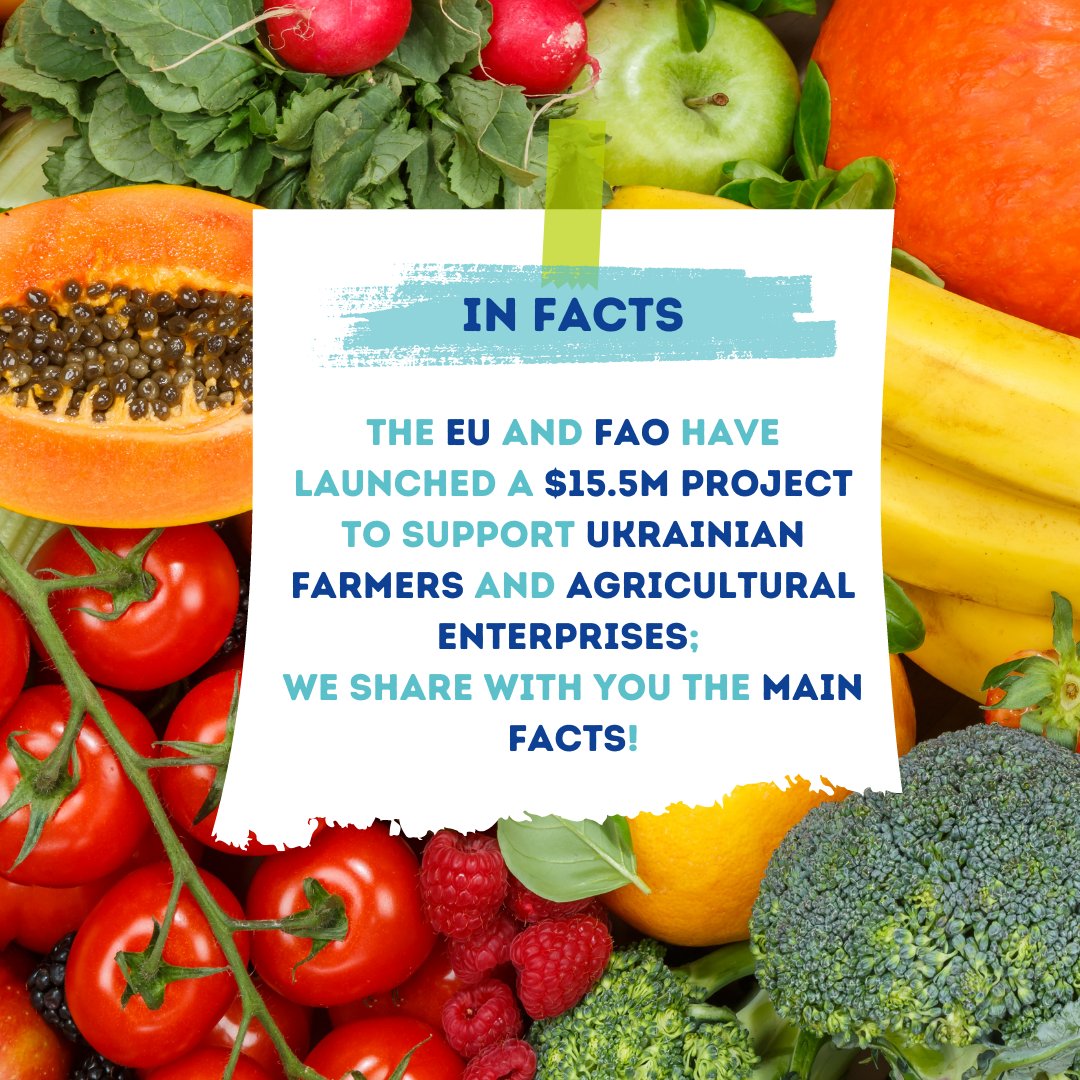 World Union of Wholesale Markets (WUWM) tweet media