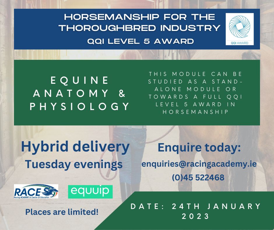 RACEIreland's tweet photo. QQI  Level 5 Equine Anatomy &amp; Physiology Course now available!
Apply today! ➡️https://t.co/kIfVr0BHRa

More information about full Horsemanship  QQI Level 5 award➡️https://t.co/famq9xy3c4 https://t.co/dZ1MDo9eNs