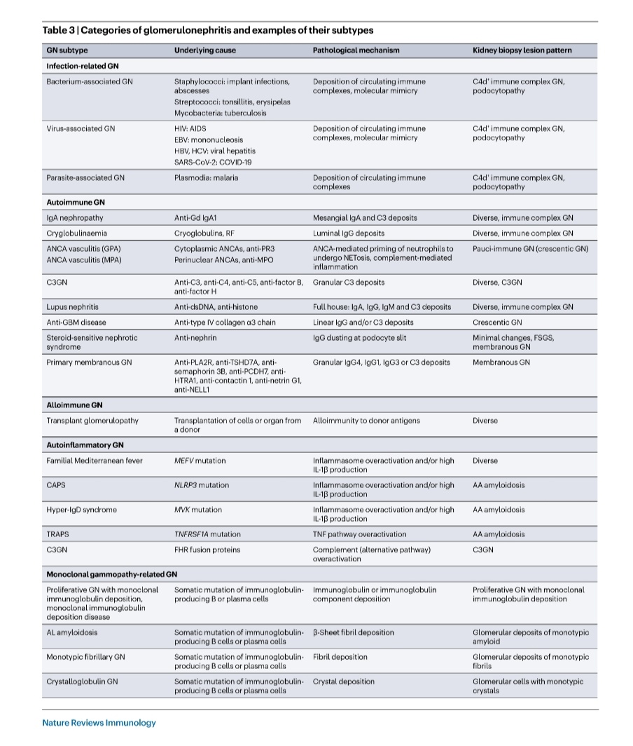 priti899's tweet photo. 💥 New Proposed classification of GN.
@Nature 2023
https://t.co/dPpSFx0bN3 https://t.co/Ul8BcYfLVa