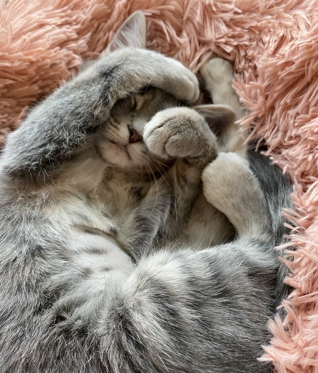 ⚡️Adria DeLaune tweet media