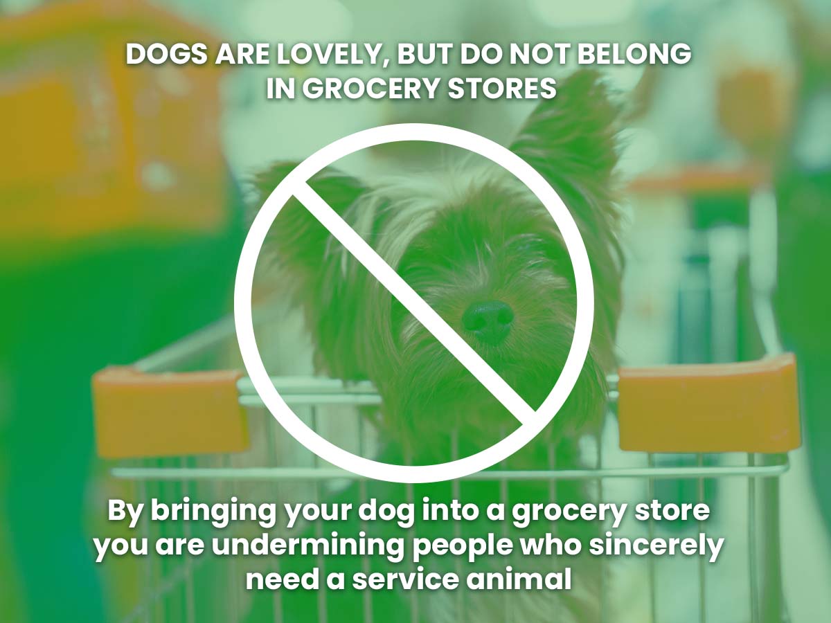 Katie on Twitter "Has anyone else noticed a huge uptick in people