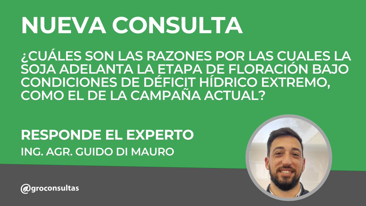 agroconsultas's tweet photo. 🌱 ¿Cuáles son las razones por las cuales la soja adelanta la etapa de floración bajo condiciones de déficit hídrico extremo, como el de la campaña actual?

Mirá la respuesta de @dm_guido en el link 📎 https://t.co/y0UT3dcg3o https://t.co/lTnlknqXlp