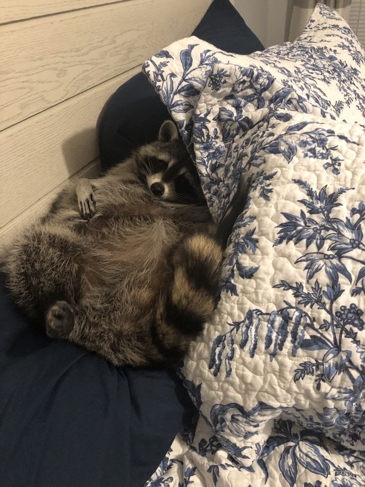 *me, thinking about having a snack 15 minutes after I said I was full*