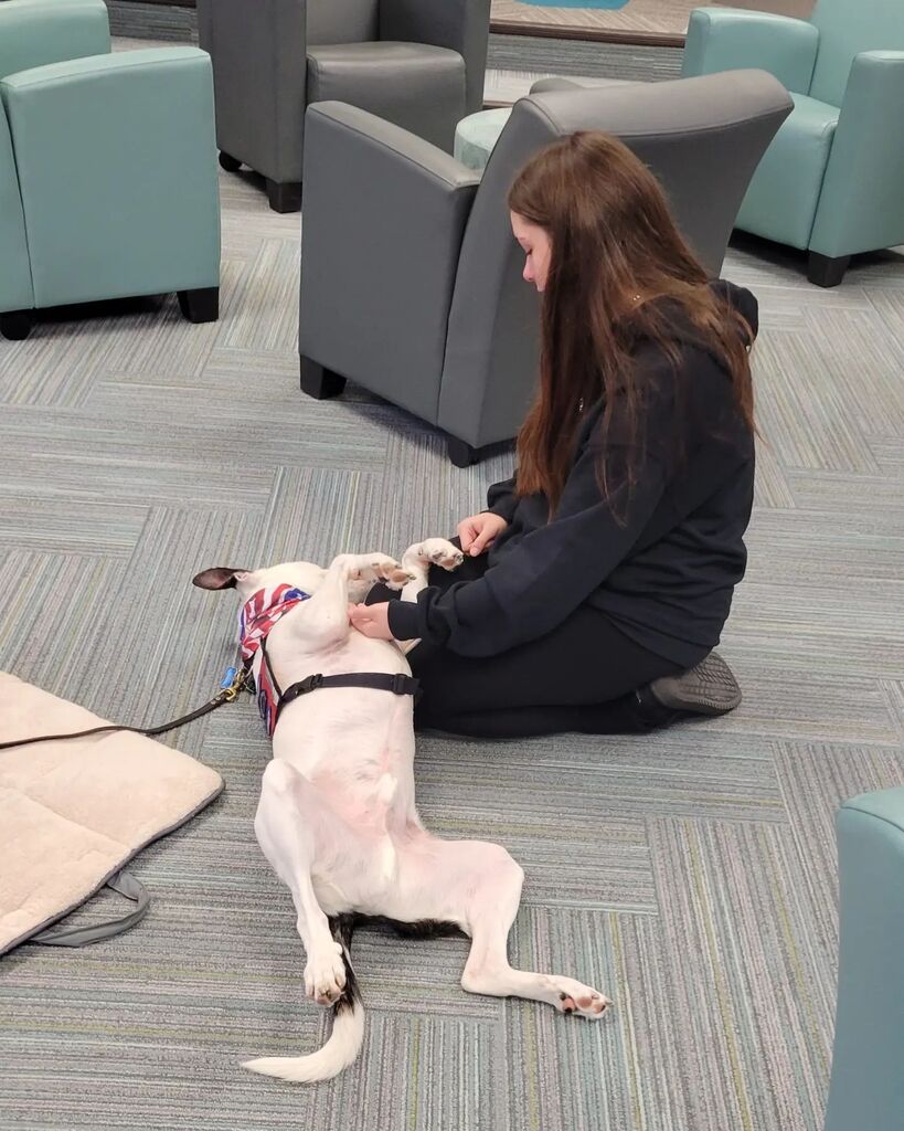 Some of the best connections made today were furry ones! We love our monthly therapy dogs visit! Thank you @goteamtherapydogs #LeadwithHart